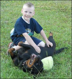 wyatt rottweiler puppy